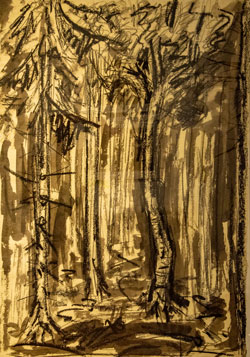 Bild von Petra Starzmann